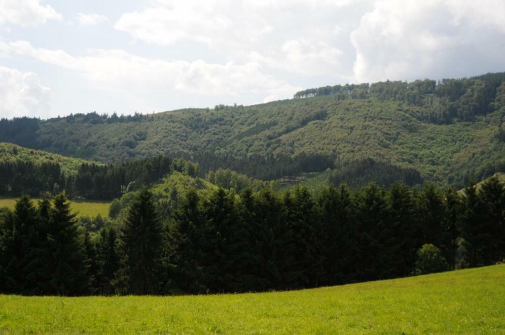Duempelhof Ferienwohnungen Olsberg Zewnętrze zdjęcie