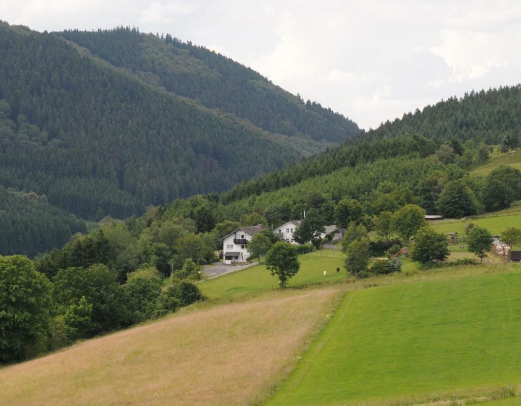 Duempelhof Ferienwohnungen Olsberg Zewnętrze zdjęcie