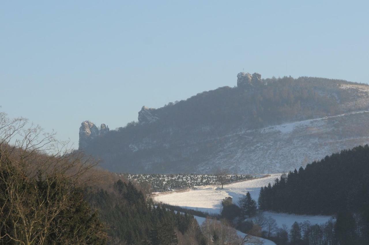 Duempelhof Ferienwohnungen Olsberg Zewnętrze zdjęcie